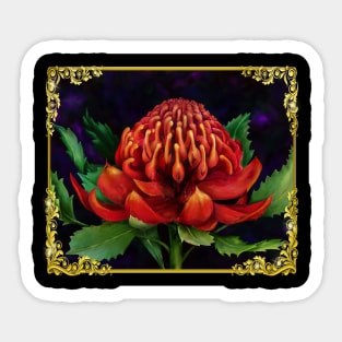 Waratah Sticker